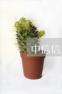 中信信用卡最低还款 逾期 中信信用卡最低还款 逾期